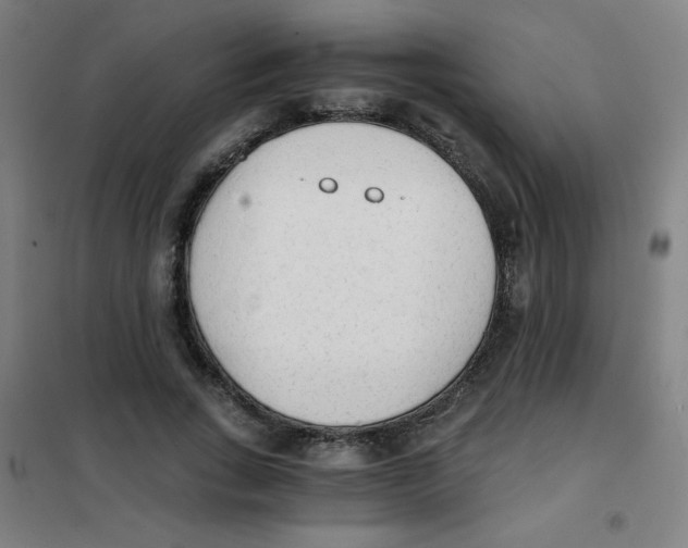 X0000101390735200808041016