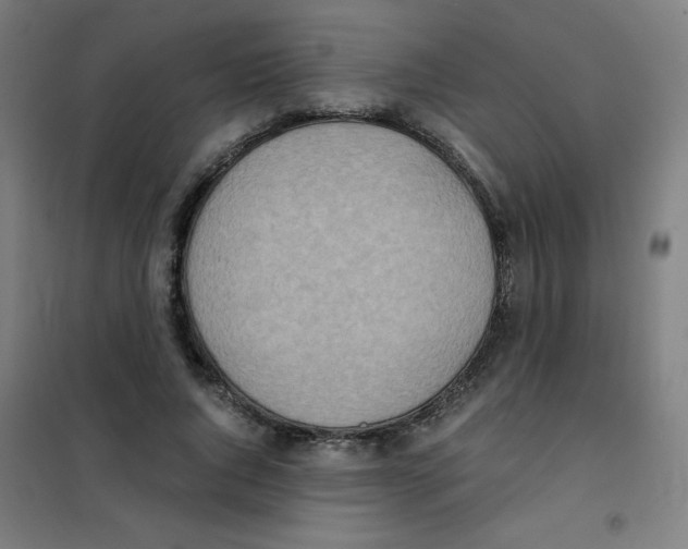 X0000101390736200808041016