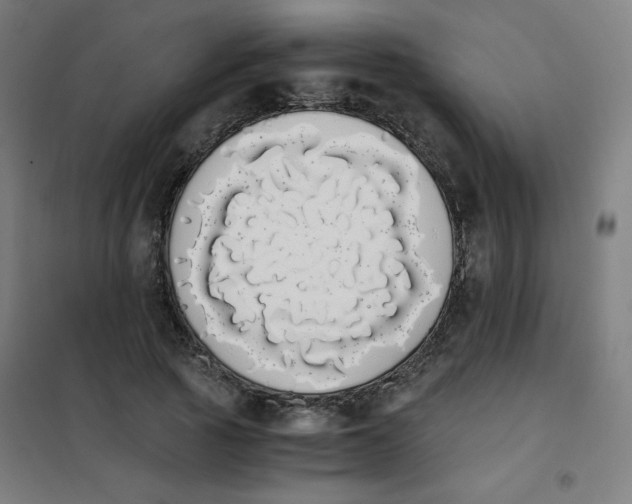 X0000101390737200808041016