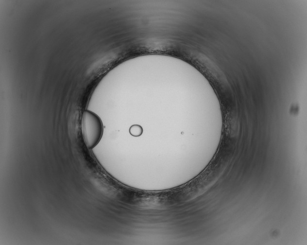 X0000101390740200808041016