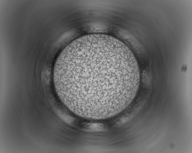 X0000101390741200808041016