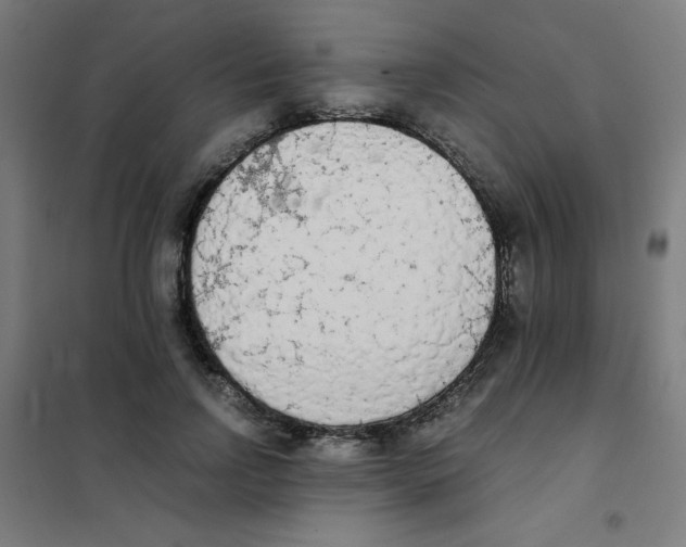 X0000101390742200808041016