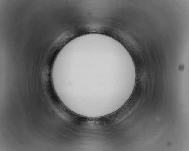X0000101390744200808041016