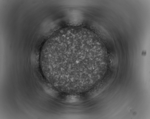 X0000101390745200808041016
