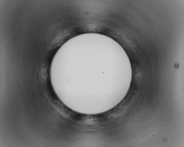 X0000101390746200808041016