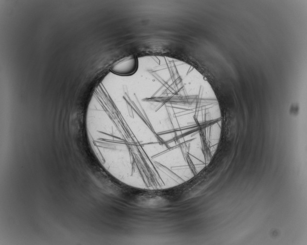 X0000101390747200808041016