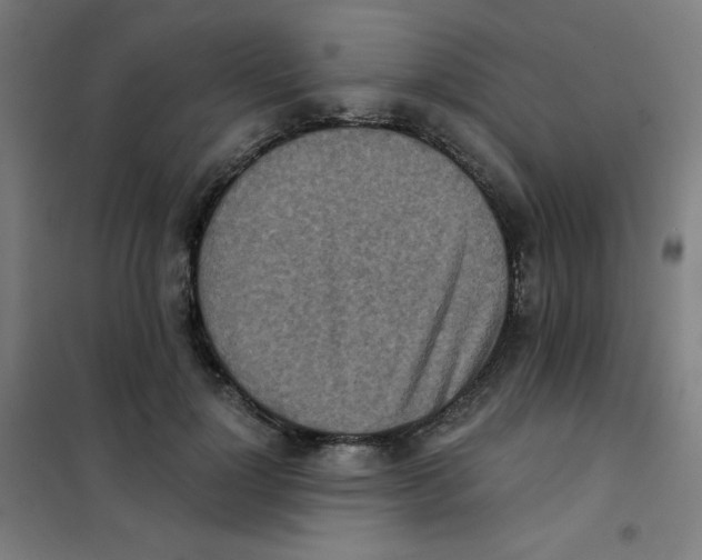 X0000101390748200808041016