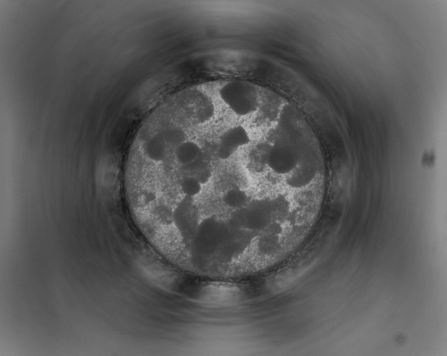 X0000101390749200808041016