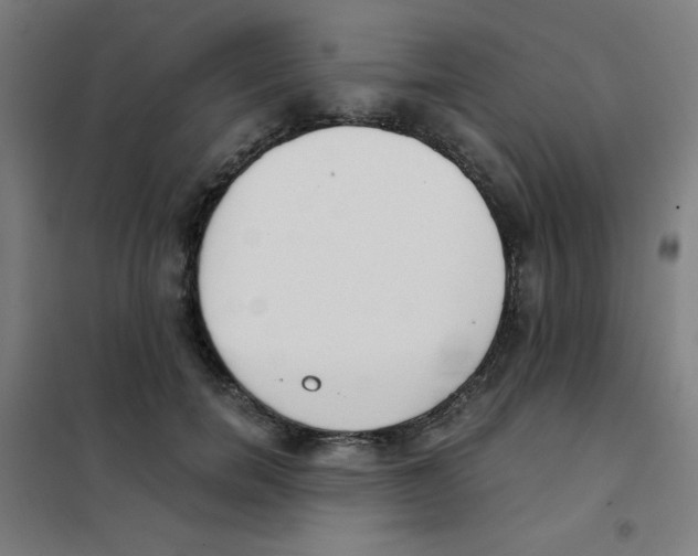 X0000101390750200808041016