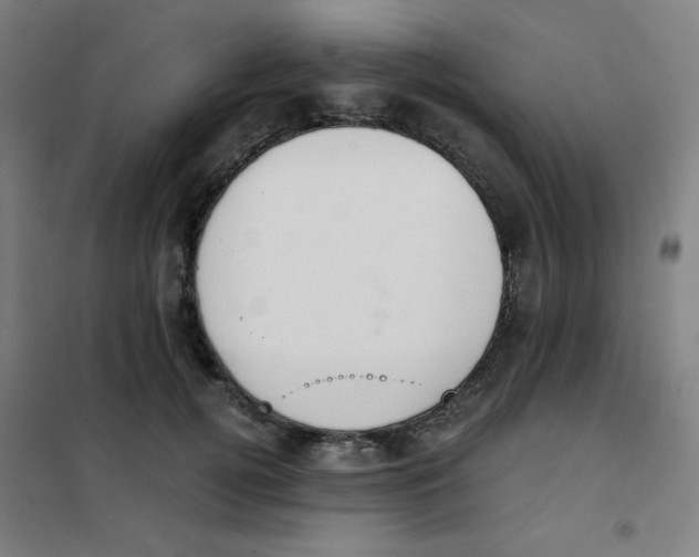 X0000101390752200808041016