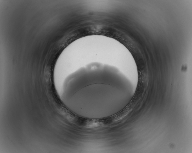 X0000101390754200808041017