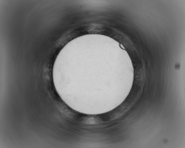 X0000101390755200808041017