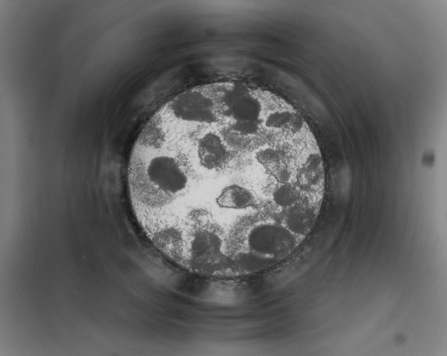 X0000101390757200808041017