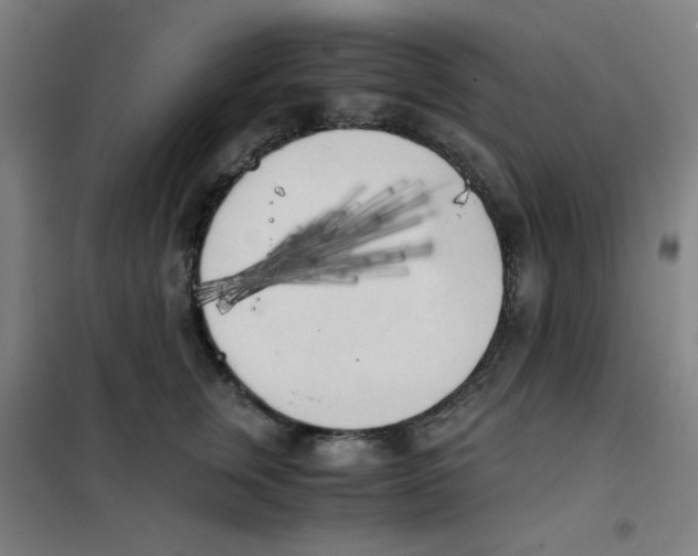 X0000101390759200808041017