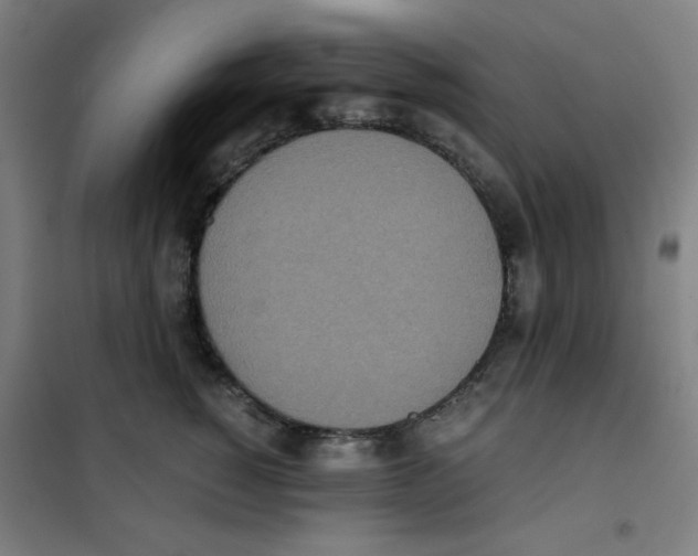 X0000101390760200808041017