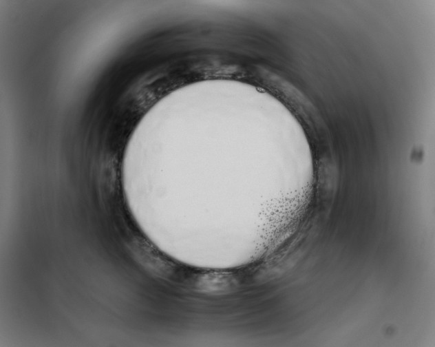 X0000101390761200808041017