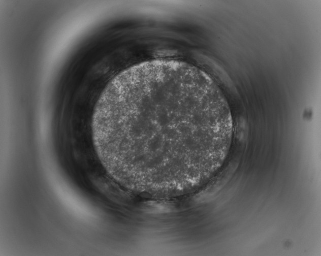 X0000101390763200808041017