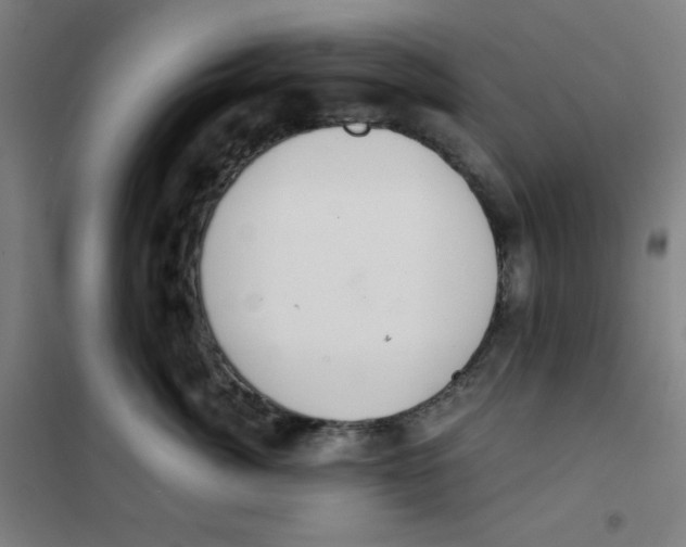 X0000101390764200808041017