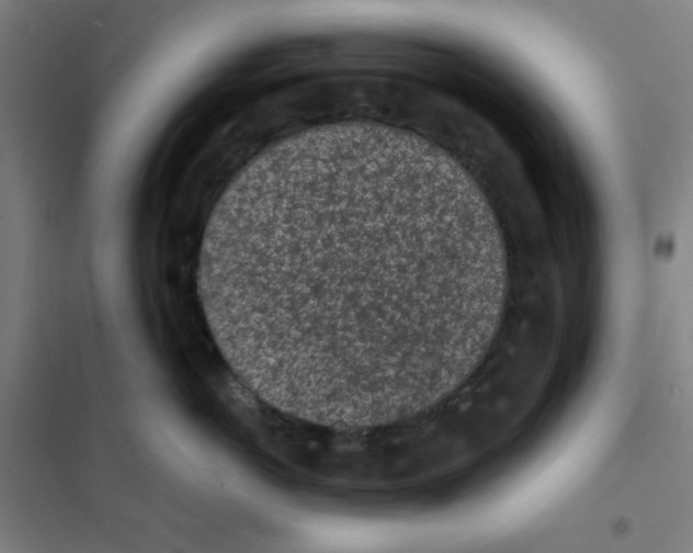 X0000101390766200808041017