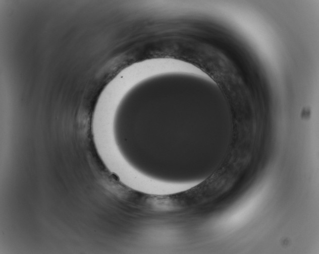 X0000101390767200808041017