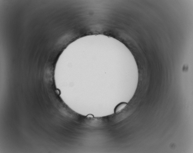 X0000101390768200808041017