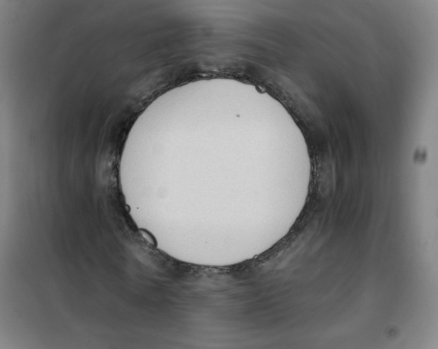 X0000101390770200808041016