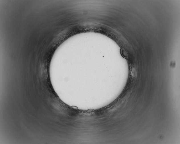 X0000101390771200808041016