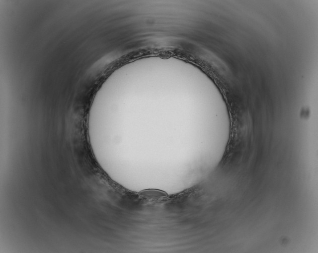 X0000101390773200808041016