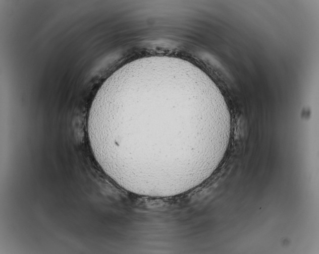 X0000101390774200808041016