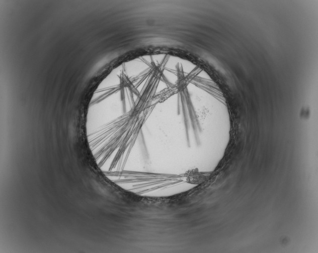 X0000101390775200808041016