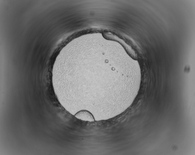 X0000101390776200808041016