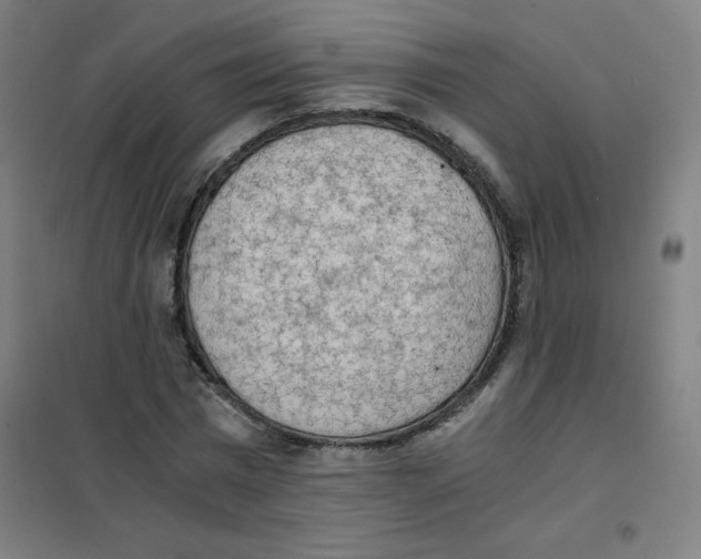 X0000101390777200808041016
