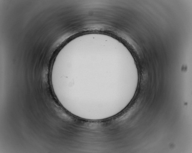 X0000101390778200808041016