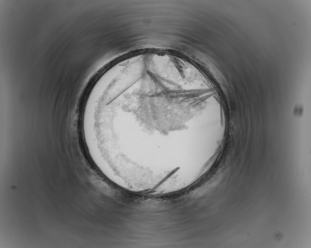 X0000101390779200808041016