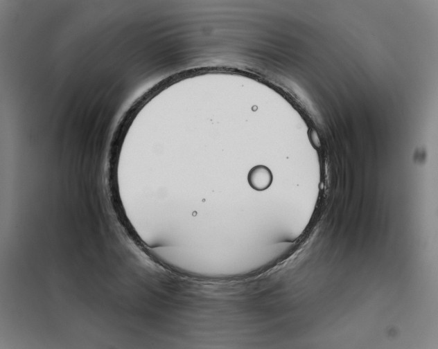 X0000101390780200808041016