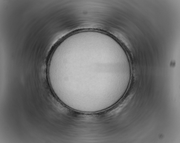 X0000101390781200808041016