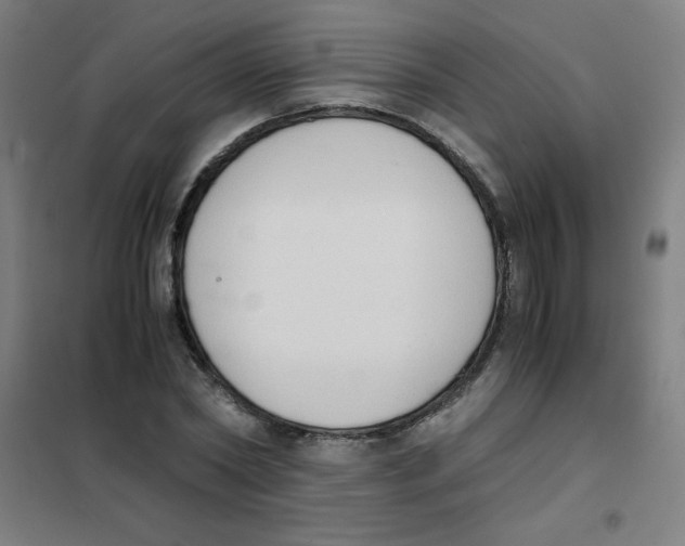X0000101390782200808041016