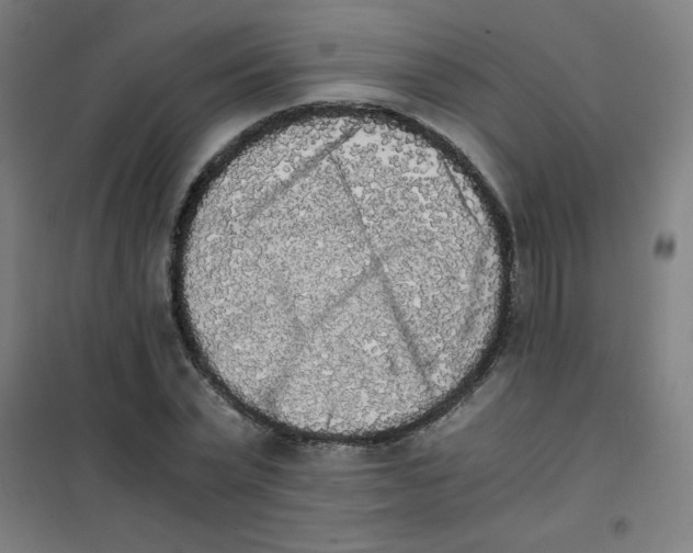 X0000101390783200808041016