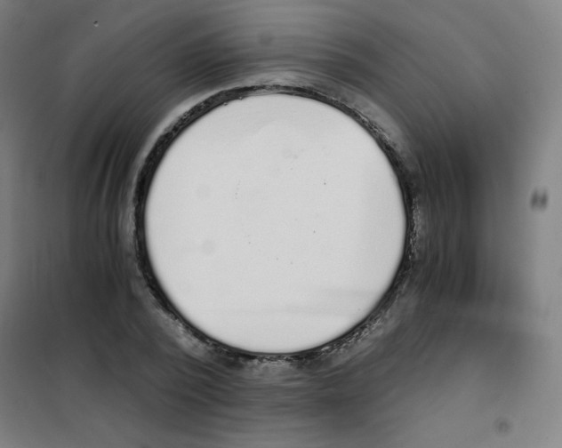 X0000101390784200808041016