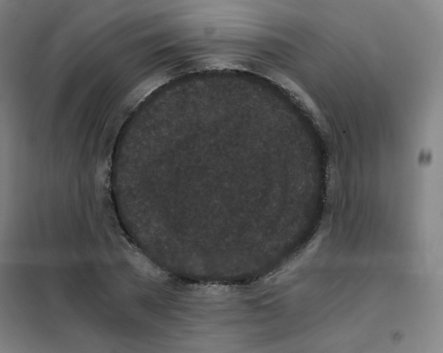 X0000101390785200808041016