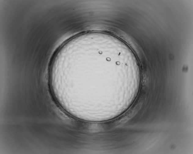 X0000101390787200808041016