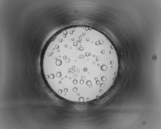 X0000101390788200808041016