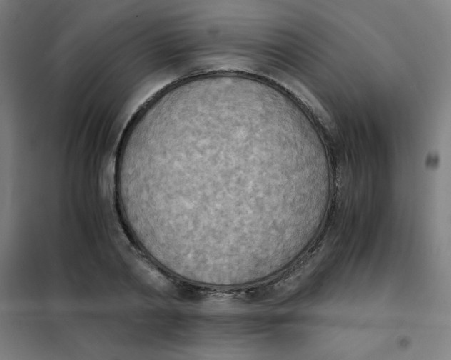 X0000101390790200808041016