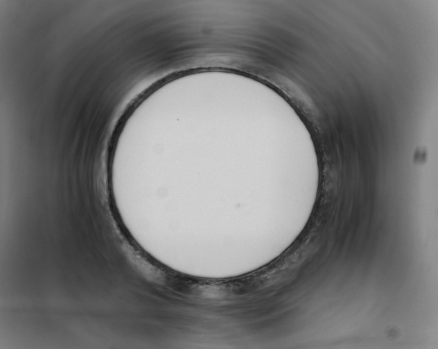 X0000101390792200808041016