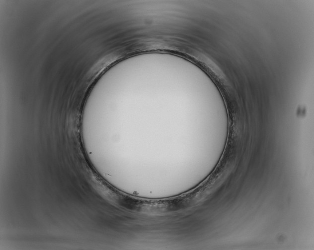 X0000101390793200808041016