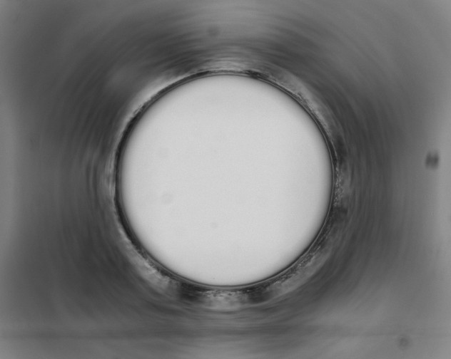 X0000101390795200808041016