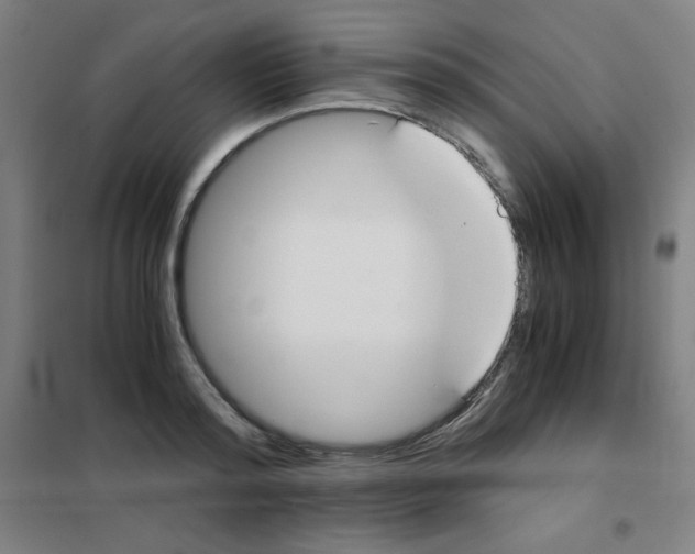 X0000101390796200808041016