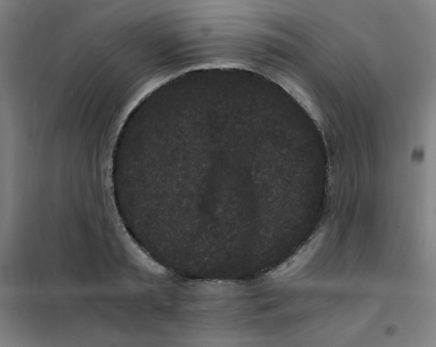 X0000101390797200808041016