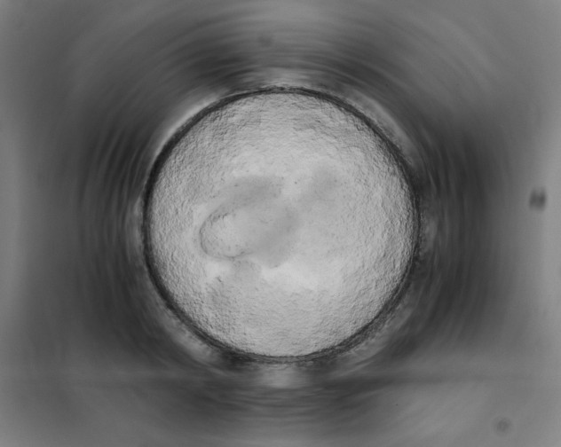 X0000101390798200808041016