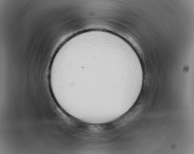 X0000101390799200808041016